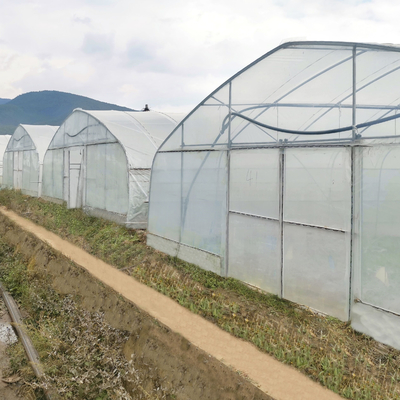 Χονδρικό θερμοκηπίων της Κίνας εργοστασίων τιμών κατασκευής θερμοκήπιο γεωργίας Singlespan υδροπονικό