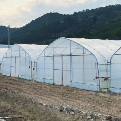 Πολυ σηράγγων ενιαία πλαστικά θερμοκήπια πολυαιθυλενίου στρώματος UV προστατευμένα για τη γεωργία