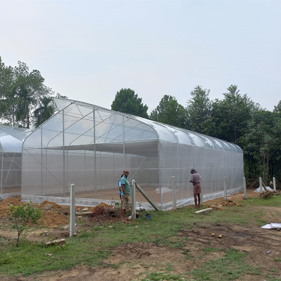 COem υδροπονικό σηράγγων πλαστικό θερμοκήπιο αγροτικού ανεφοδιασμού χάλυβα θερμοκηπίων γαλβανίζοντας