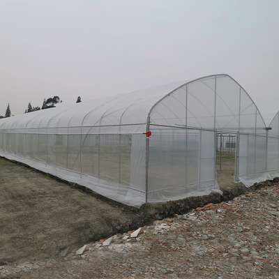 Ανθεκτικό στον άνεμο UV Net House θερμοκήπιο Περιβαλλοντικός ελεγκτής Πολυδιάστατα θερμοκήπια