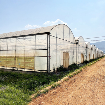 Ανθεκτικό στον άνεμο UV Net House θερμοκήπιο Περιβαλλοντικός ελεγκτής Πολυδιάστατα θερμοκήπια