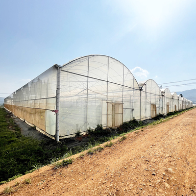 Ανθεκτικό στον άνεμο UV Net House θερμοκήπιο Περιβαλλοντικός ελεγκτής Πολυδιάστατα θερμοκήπια