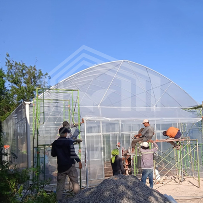 Στρογγυλή αψίδα πλευρική εξαερισμός πλαστική σήραγγα θερμοκήπιο Εμπορικό θερμοκήπιο με μόνο διάστημα φράουλα