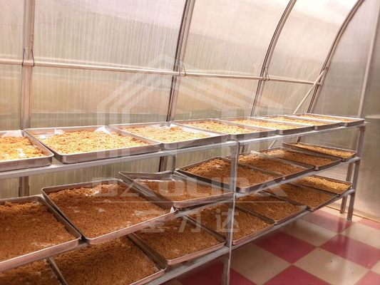 Ανθεκτικό PC Board Drying Greenhouse With Ventilation Equipment For Vegetables And Herbs (Ανθεκτικό PC Board Drying Greenhouse με εξοπλισμό εξαερισμού για λαχανικά και βότανα)