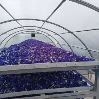 Ανθεκτικό PC Board Drying Greenhouse With Ventilation Equipment For Vegetables And Herbs (Ανθεκτικό PC Board Drying Greenhouse με εξοπλισμό εξαερισμού για λαχανικά και βότανα)