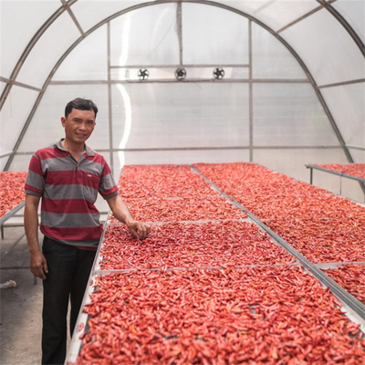 Ανθεκτικό PC Board Drying Greenhouse With Ventilation Equipment For Vegetables And Herbs (Ανθεκτικό PC Board Drying Greenhouse με εξοπλισμό εξαερισμού για λαχανικά και βότανα)