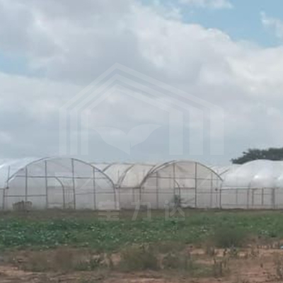 Ζυγισμένο πλαίσιο τούνελ θερμοκηπίου για την αποτελεσματική παραγωγή λαχανικών