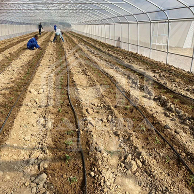 Οικονομικό θερμοκήπιο σήραγγας με πλευρικό εξαερισμό για την ανάπτυξη των φυτών