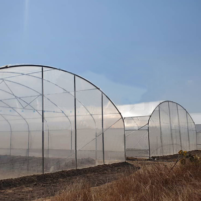 6x15m θερμοκήπιο σήραγγας για έργα καλλιέργειας λουλουδιών και λαχανικών