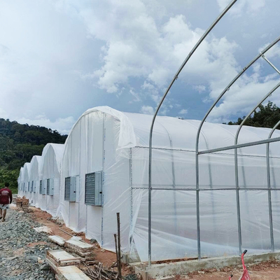 Ζυγισμένο σωληνάκι με σωλήνα θερμοκήπιο με βέλτιστη μόνωση