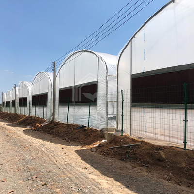 Πρακτικά θερμοκήπια υψηλής σήραγγας για γεωργικές λύσεις