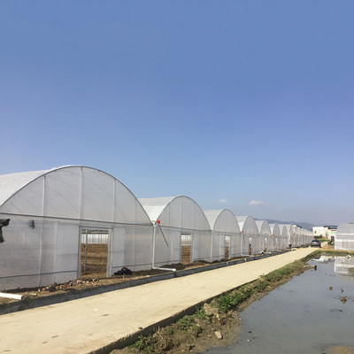 8-60m μήκος υψηλή σήραγγα πλαστική ταινία θερμοκήπιο προσαρμόσιμο μέγεθος για τη γεωργία και την παραγωγή λουλουδιών