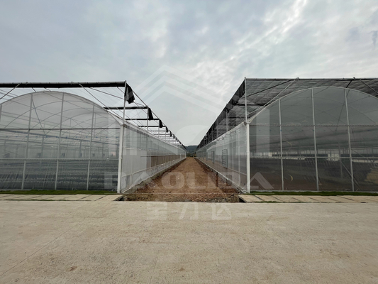 Baolida High Tunnel Plastic Film Multi Span Τροπικό θερμοκηπίο Πλατεία εξωτερικής εξάτμισης Γεωργία θερμοκηπίο με σύστημα σκιάσης