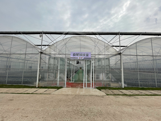 Baolida High Tunnel Plastic Film Multi Span Τροπικό θερμοκηπίο Πλατεία εξωτερικής εξάτμισης Γεωργία θερμοκηπίο με σύστημα σκιάσης