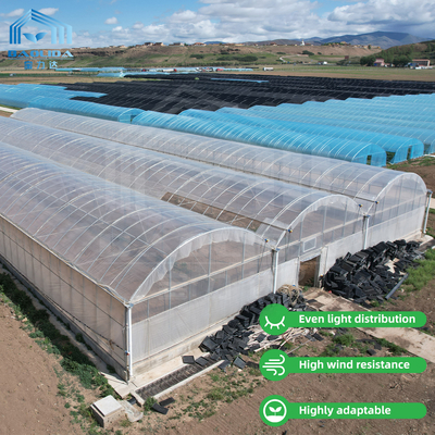24m x 40m Πολυδιάστατο θερμοκήπιο με 150 μμ PE κάλυψη με φιλμ