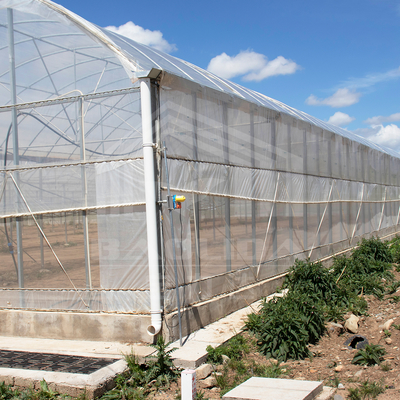 24m x 40m Πολυδιάστατο θερμοκήπιο με 150 μμ PE κάλυψη με φιλμ