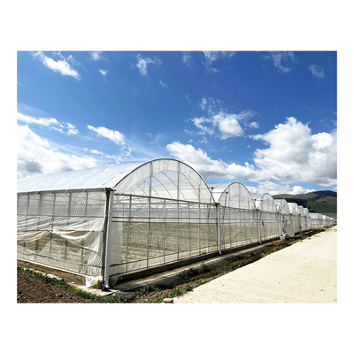 BAOLIDA 24x40m Single-Span θερμοκήπιο με 150micron PE ταινία