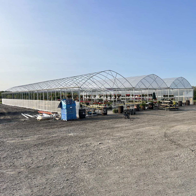 BAOLIDA 24x40m Single-Span θερμοκήπιο με 150micron PE ταινία