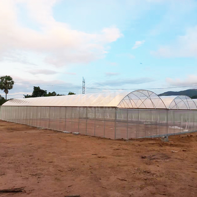 BAOLIDA 24x40m Single-Span θερμοκήπιο με 150micron PE ταινία