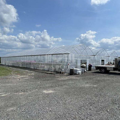 Μεγάλο πολυ-στέγαστρο θερμοκήπιο PE μήκους 50-100m, πλάτους 7-10m