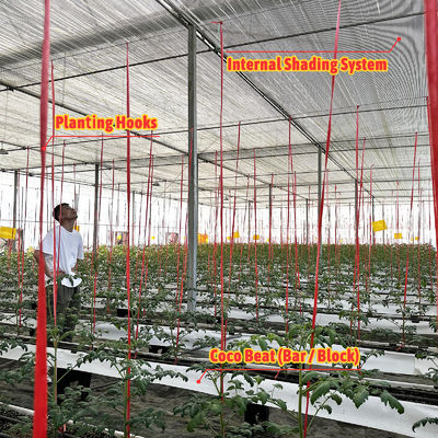 Θερμοκήπιο με γαλβανισμένο ατσάλινο σκελετό, άνοιγμα 6m-12m με φιλμ PE 150/200 micron