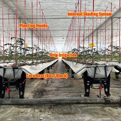 Θερμοκήπιο με γαλβανισμένο ατσάλινο σκελετό, άνοιγμα 6m-12m με φιλμ PE 150/200 micron