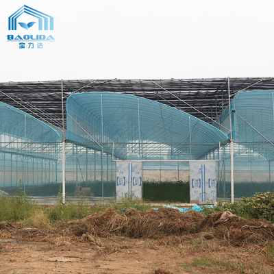 Κιτ θερμοκηπίου φιλμ PE Multi-Span 6m-12m με 10-ετή εγγύηση
