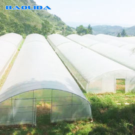 Τροπικό πλαστικό θερμοκήπιο σηράγγων/προσαρμοσμένο γεωργικό θερμοκήπιο