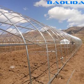 Ενιαίο έκτασης γεωργίας πλαστικό θερμοκήπιο σηράγγων σωλήνων καυτής εμβύθισης γαλβανισμένο για τη φράουλα