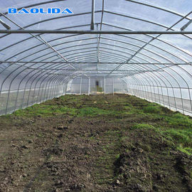 Ενιαίο έκτασης γεωργίας πλαστικό θερμοκήπιο σηράγγων σωλήνων καυτής εμβύθισης γαλβανισμένο για τη φράουλα