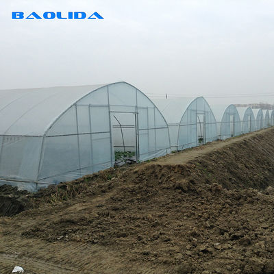 Το γαλβανισμένο ενιαίο θερμοκήπιο σηράγγων έκτασης πλαστικό προσάρμοσε τη φυτική ανάπτυξη