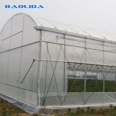 Το γαλβανισμένο ενιαίο θερμοκήπιο σηράγγων έκτασης πλαστικό προσάρμοσε τη φυτική ανάπτυξη