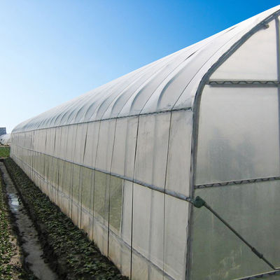 Πλάτος 8m πλαστικό θερμοκήπιο σηράγγων 9m 10m για την ανάπτυξη λαχανικών