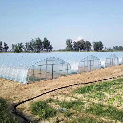Πλάτος 8m πλαστικό θερμοκήπιο σηράγγων 9m 10m για την ανάπτυξη λαχανικών