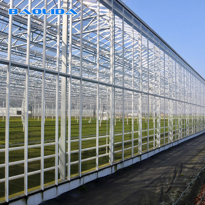 Έλεγχος κλίματος θερμοκηπίων γυαλιού Venlo σηράγγων πλήρως αυτόματος