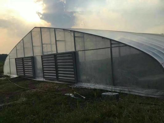 Καυτής εμβύθισης γαλβανισμένο θερμοκήπιο πλαστικών ταινιών θερμοκηπίων περιοχής οικολογικό γεωργικό