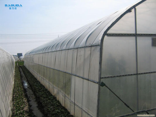 Ενιαίο θερμοκήπιο έκτασης σηράγγων για τη γεωργική καλλιέργεια ανάπτυξης λαχανικών
