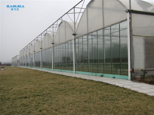 Καυτής εμβύθισης γαλβανισμένο θερμοκήπιο Multispan χάλυβα πλαστικό για τη φύτευση του Four Seasons
