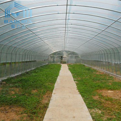 Εγκαταστάσεις γεωργίας που αυξάνονται καλλιέργειας πολυαιθυλενίου πλαστικό θερμοκήπιο σηράγγων έκτασης ταινιών το ενιαίο
