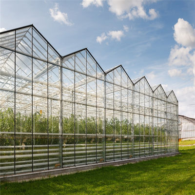 Κήπων χειμερινής κάλυψης μανιταριών ηλιακό γυαλιού θερμοκήπιο τύπων Venlo έκτασης θερμοκηπίων πολυ