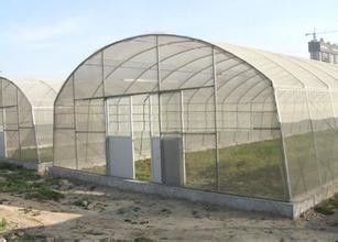 Ενιαίο θερμοκήπιο ταινιών πολυαιθυλενίου θερμοκηπίων σηράγγων έκτασης πλαστικό για την καλλιέργεια λαχανικών