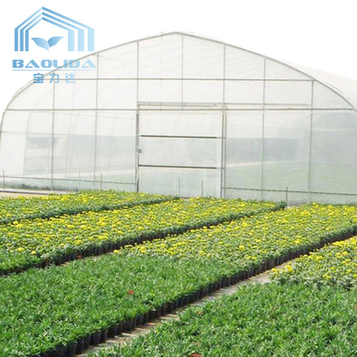 Πλαστικό σηράγγων πλαστικό θερμοκήπιο αγροτικών σηράγγων φραουλών γεωργικό με το σύστημα εξαερισμού