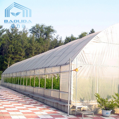 Πλαστικό σηράγγων πλαστικό θερμοκήπιο αγροτικών σηράγγων φραουλών γεωργικό με το σύστημα εξαερισμού