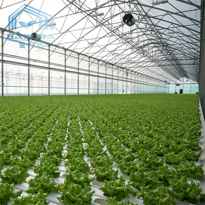 Aquaponis που αυξάνεται το πολυ πλαστικό θερμοκήπιο σηράγγων για τη γεωργία