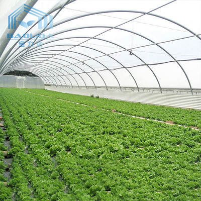 Aquaponis που αυξάνεται το πολυ πλαστικό θερμοκήπιο σηράγγων για τη γεωργία