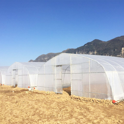 10m ενιαίος-έκτασης γεωργίας λάχανων ανάπτυξης ταινιών PE πλαστικό θερμοκήπιο σηράγγων πλάτους