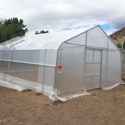 Single-span Arch Polyethylene Film Pumpkin 6m High Tunnel Plastic Greenhouse For Plants Growing