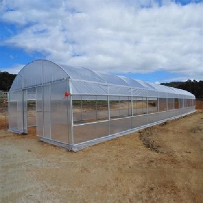 Θερμοκήπιο πλαστικών ταινιών PE με το σύστημα ψύξης για τη γεωργία