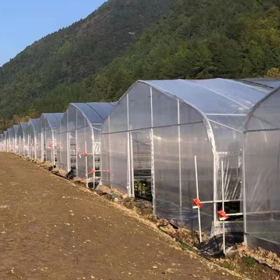 30m μήκους ενιαίο θερμοκήπιο ταινιών έκτασης πλαστικό καλύπτοντας με σεντόνι για την καλλιέργεια ντοματών