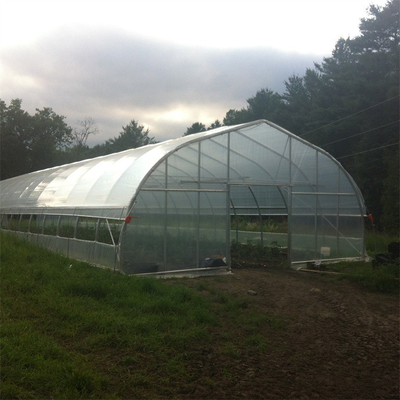 Πλαστικό άσπρο ενιαίο θερμοκήπιο έκτασης σηράγγων τετραγωνικών μέτρων 300 για την ανάπτυξη φραουλών